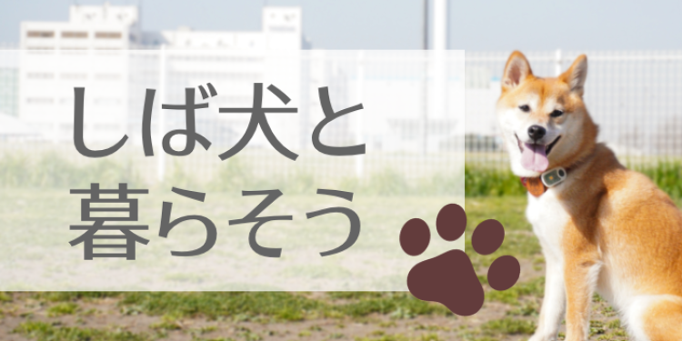 しば犬と暮らそう